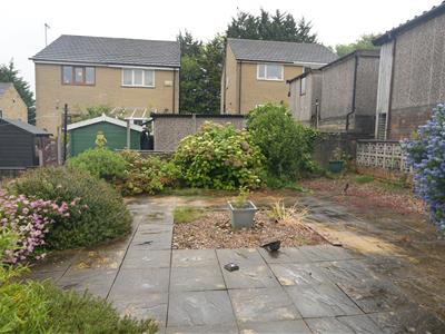 Picture 14